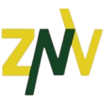 znvostok_logo-removebg-preview